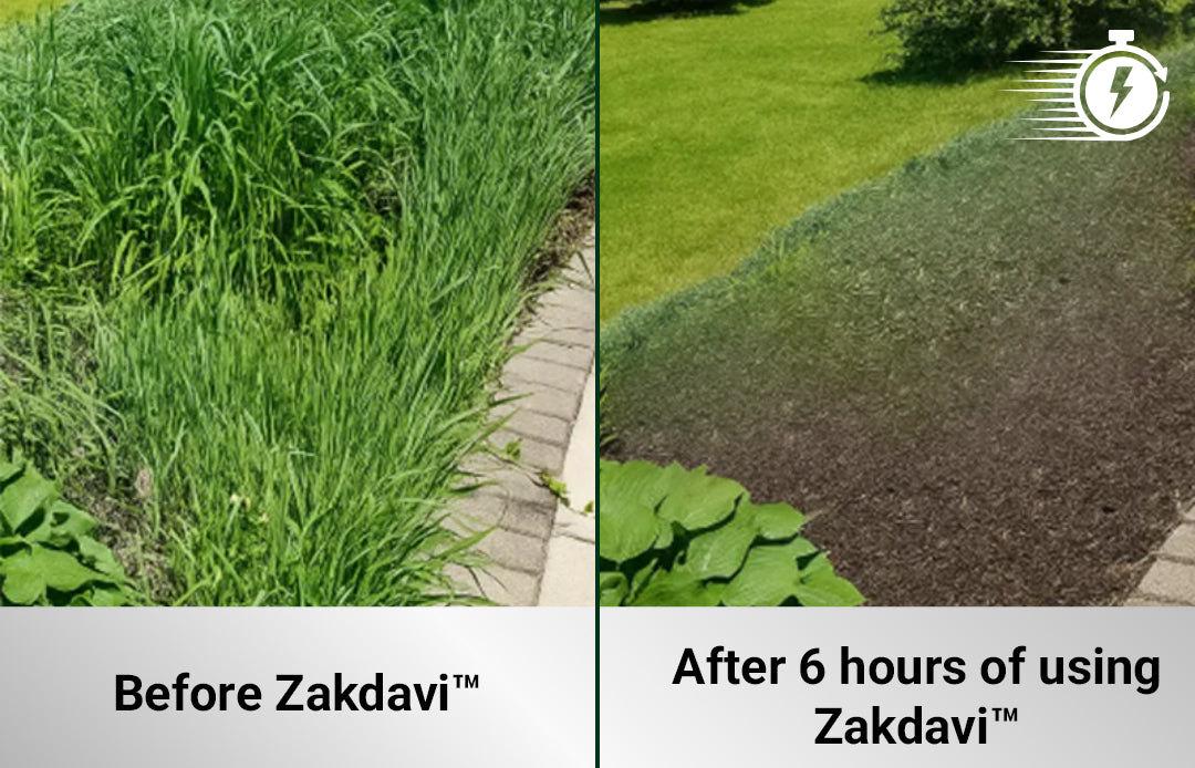 Zakdaviβ’2 in 1 Max Power Herbicide (ππ% ππ½π½ ππ‘ππ¦ ππ‘ ππ¬ π ππ‘π¨π§ππ¦)