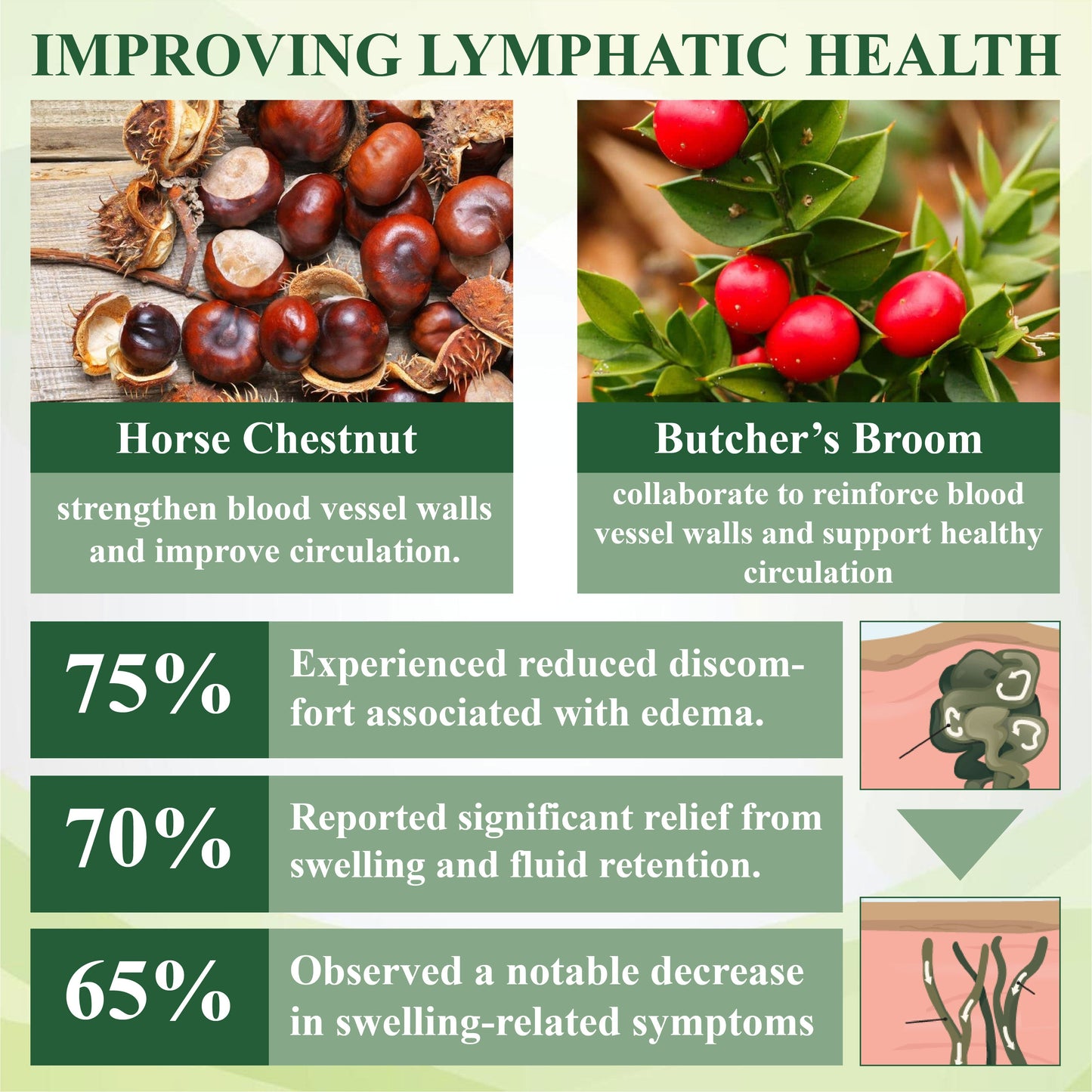 🏆ODEIUN™ CircuHerb Edema Soothing & Healing Balm | Instant Swelling Soothing • Vascular Care • Herbal Recovery ✨