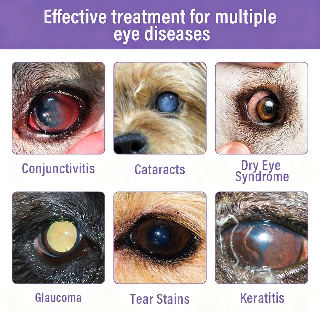 👩‍⚕️Zakdavi™ NanoCare Pet Eye Drops ☑️ FDA Approved | Relieves Conjunctivitis, Dry Eyes, Cataracts, and Keratitis🐶 🐈️