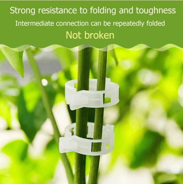 Plant Support Clips