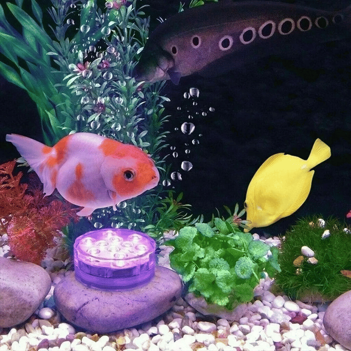 BUY 3 GET 1 FREE(4 PCS+FREE SHIPPING)